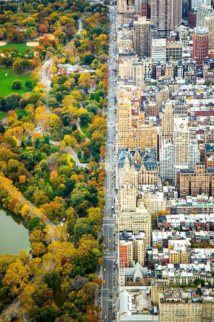 city skyline collage, city, architecture, building, New York City, USA, nature, park, Central Park, street, road, taxi, car, trees, fall, water, lake, skyscraper, bird's eye view, portrait display, contrast, grass, rooftops, church, house, HD wallpaper