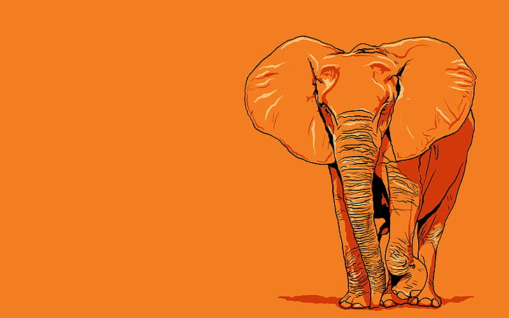 elephant, HD wallpaper