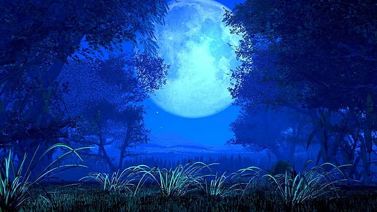 naturaleza, luna, luna llena, árbol, paisaje, cielo nocturno, noche, noche, Fondo de pantalla HD HD wallpaper
