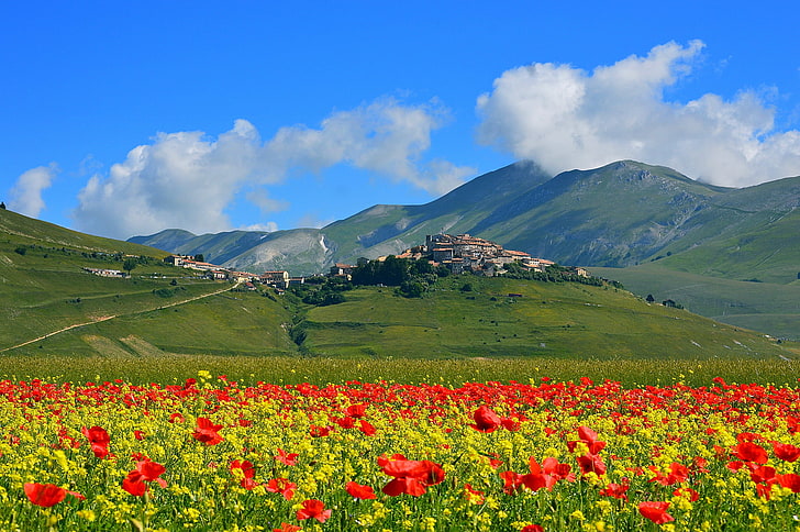 field, flowers, mountains, Maki, home, meadow, Italy, the village, Castelluccio di Norcia, HD wallpaper