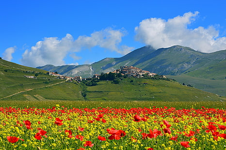 campo, fiori, montagne, Maki, casa, prato, Italia, il villaggio, Castelluccio di Norcia, Sfondo HD HD wallpaper