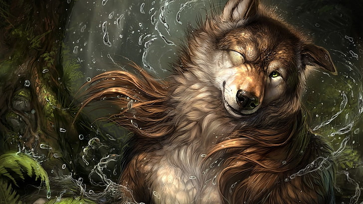furry, Anthro, wolf, HD wallpaper
