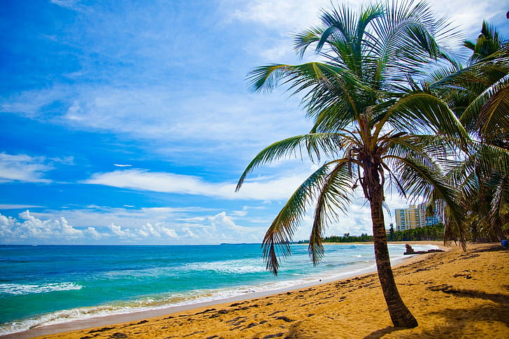 Beach, Puerto Rico, HD wallpaper | Wallpaperbetter
