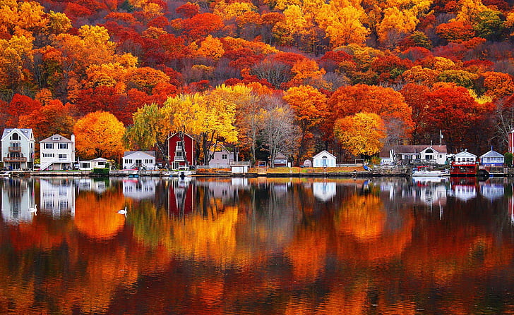 Herbst, Fotografie, Spiegelbild, Wasser, HD-Hintergrundbild