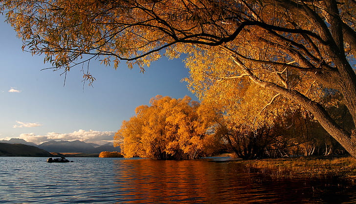 茶色は、川、テカポ湖、テカポ湖、秋、テカポ湖、NZ、茶色、葉、木、川、秋、黄金の湖、テカポ湖、黄色、パブリックドメイン、献身、CC0、ジオタグ、写真、自然、木、湖、風景、屋外、風景、水、自然の美しさ、 HDデスクトップの壁紙