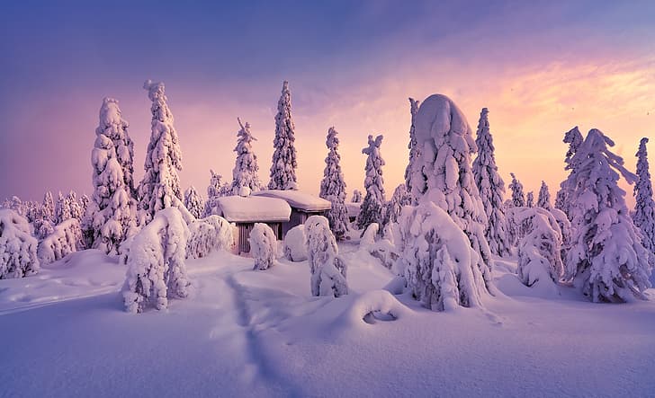 winter, snow, trees, the snow, houses, Finland, Lapland, HD wallpaper