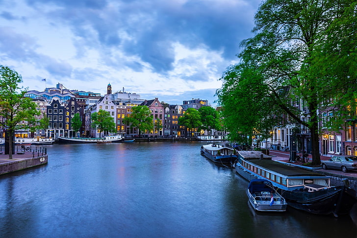 เมืองอัมสเตอร์ดัมเรือคลองเมืองบ้านเนเธอร์แลนด์ต้นไม้, วอลล์เปเปอร์ HD