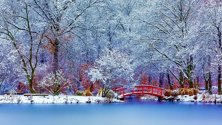 water, frozen, red bridge, river, daytime, lake, frost, forest, waterway, winter, bridge, freezing, reflection, branch, tree, nature, snow, HD wallpaper