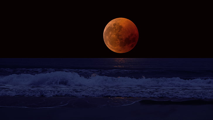 lune, objet astronomique, ciel, nuit, événement céleste, clair de lune, pleine lune, côte, minuit, ciel nocturne, horizon, ténèbres, mer, vague, plage, Fond d'écran HD