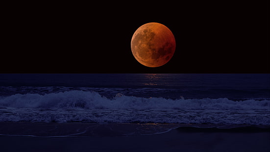 lune, objet astronomique, ciel, nuit, événement céleste, clair de lune, pleine lune, côte, minuit, ciel nocturne, horizon, ténèbres, mer, vague, plage, Fond d'écran HD HD wallpaper