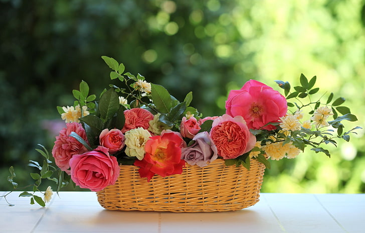 assorted pink flowers, roses, flowers, garden, shopping, composition, leaves, twigs, HD wallpaper