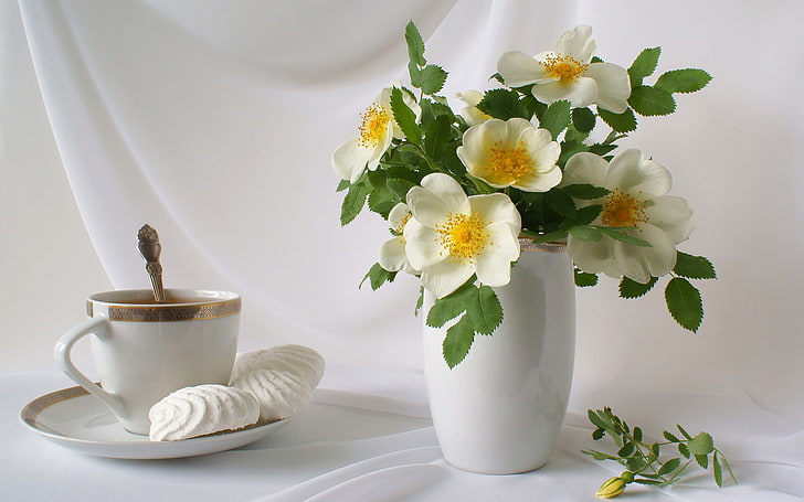 white ceramic vase and white flowers, flowers, tea, bouquet, petals, Cup, vase, still life, saucer, marshmallows, HD wallpaper