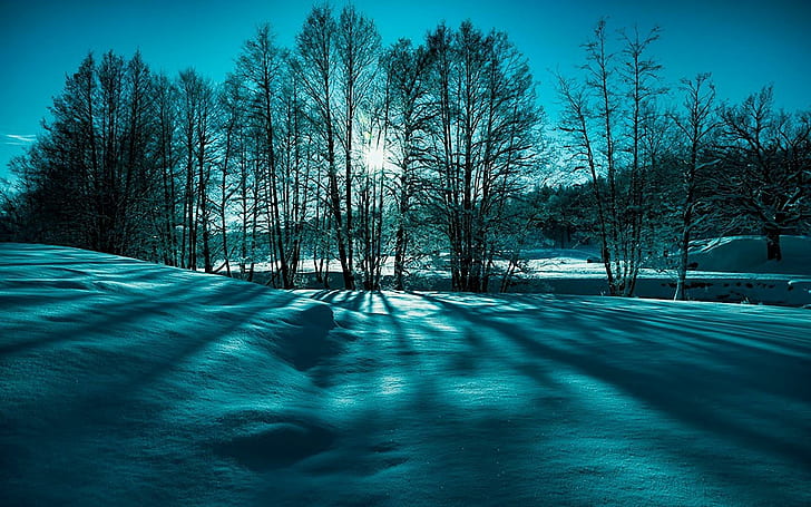 Пейзаж Снежни дървета Зима Природа Красота Снимки, пейзажи, красота, пейзаж, природа, снимки, сняг, дървета, зима, HD тапет