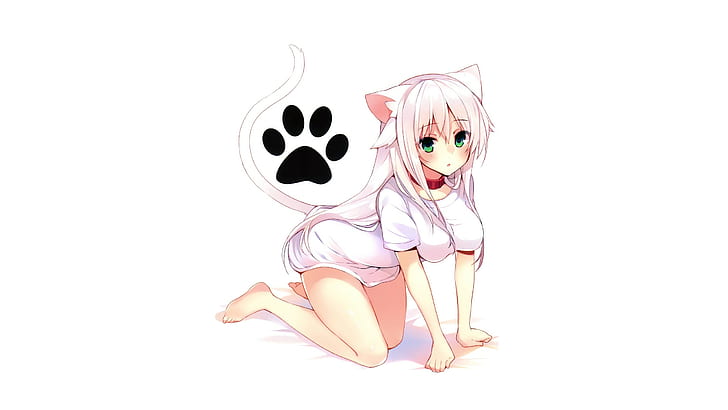personagem de anime feminino em papel de parede superior branco, meninas anime, garota gato, nekomimi, HD papel de parede