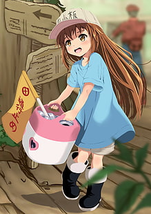 Blutplättchen, Hataraku Saibou, Anime, HD-Hintergrundbild HD wallpaper