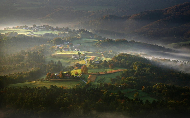 desa dikelilingi oleh lukisan pohon daun hijau, alam, kabut, lanskap, musim gugur, desa, hutan, pagi, gunung, lembah, Slovenia, Wallpaper HD