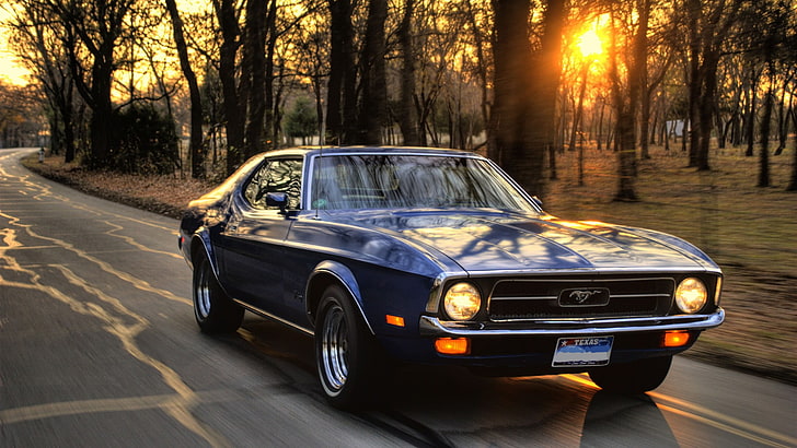 Ford Mustang bleu coupé sur route, voiture, Ford, Ford Mustang, coucher de soleil, arbres, route, muscle cars, Fond d'écran HD