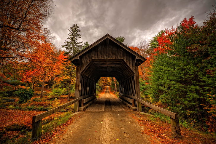 Bridges, Covered Bridge, Bridge, Fall, Foliage, Tree, HD wallpaper