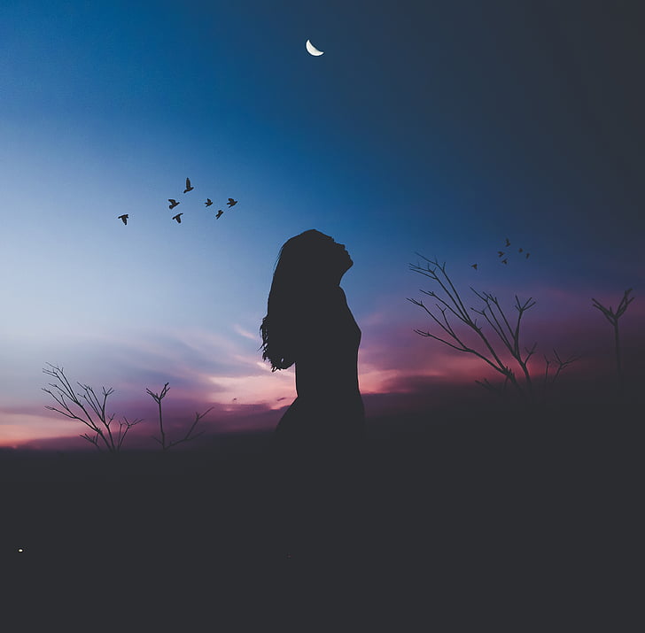 silhouette photo of a woman, Alone, Woman, Birds, Silhouette, HD, HD wallpaper