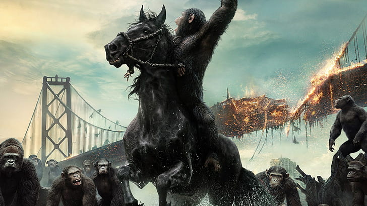 dawn of the planet of the apes, HD wallpaper