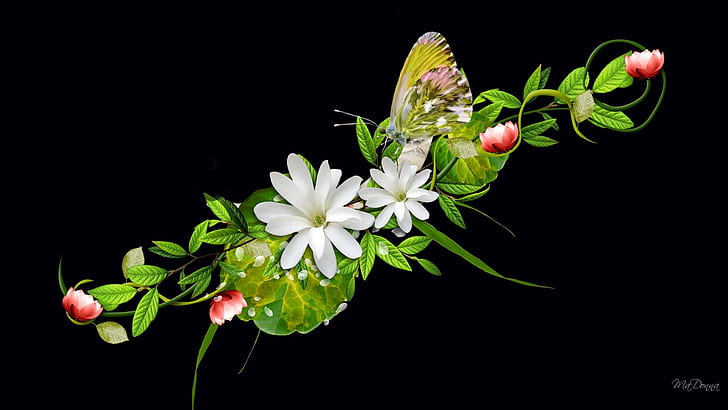 Flowers On Black, spring, firefox persona, green vine, leaves, summer, butterfly, swag, flowers, 3d and abstract, HD wallpaper