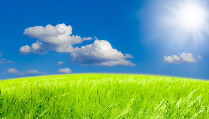 зелена трева поле под слънчев ден картинки, небе, трева, слънце, облаци, пейзаж, природа, небе, зелено поле, слънчева светлина, HD тапет