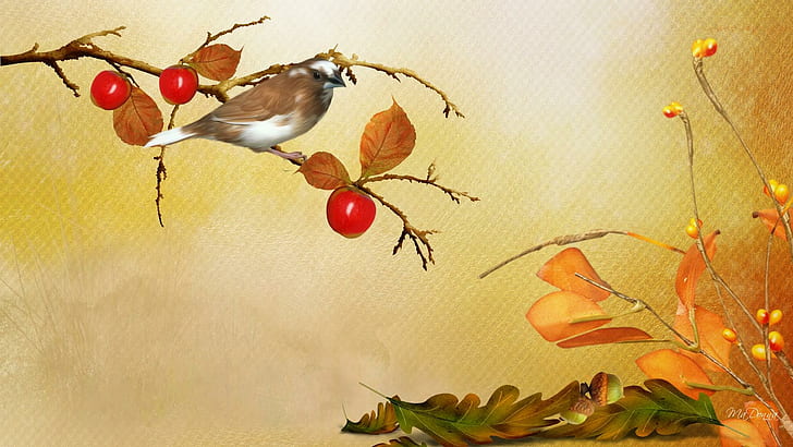 Autumn Simple, yellow, berries, chill, breeze, ground, fall, tree, leaves, bird, wind, cold, acorns, gold, amber, HD wallpaper