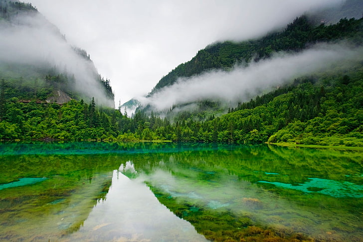 plan d'eau calme, réserve naturelle de Jiuzhaigou, Chine, lac, eau claire, arbres, montagnes, nuages, lac aux cinq couleurs, paysage, Fond d'écran HD