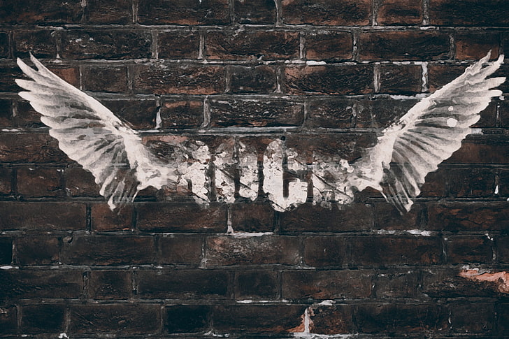 eagle illustration, wings, bricks, wall, HD wallpaper