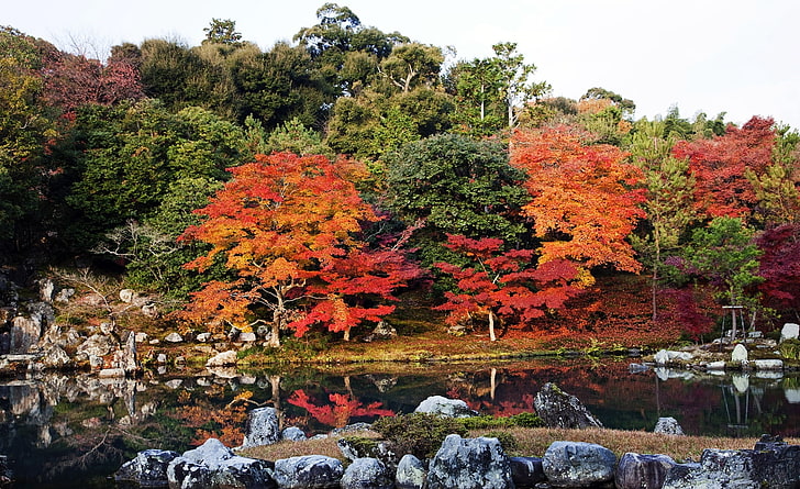 Autumn, Japan, orange leafed tree, Seasons, Autumn, Nature, Beautiful, Trees, Water, Colors, Photography, Japan, Season, Reflection, green trees, orange trees, red trees, HD wallpaper