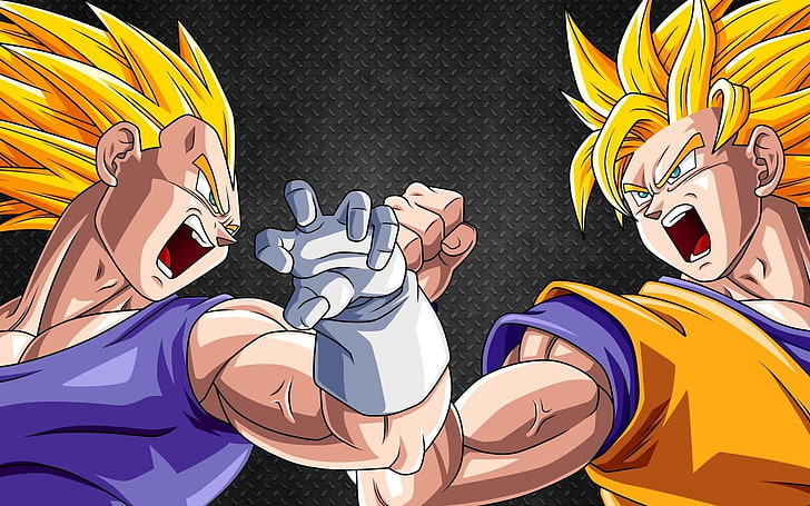 Dragon Ball Z Son Goku und Vegeta digitales Hintergrundbild, Dragon Ball Z, Vegeta, Son Goku, Super Saiyajin, HD-Hintergrundbild