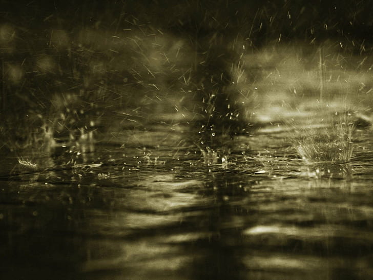 Pioggia HD, fotografia, pioggia, Sfondo HD