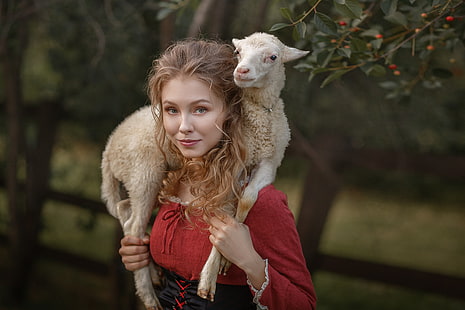 Alice Tarasenko, wanita, model, berambut pirang, kedalaman bidang, domba, hewan, melihat penonton, wanita di luar ruangan, Wallpaper HD HD wallpaper