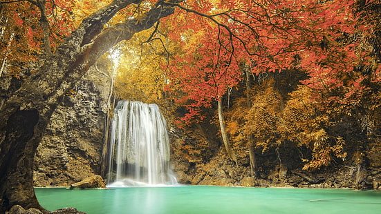 Air terjun hutan musim gugur-Windows 10 HD Wallpaper, air terjun di wallpaper hutan, Wallpaper HD HD wallpaper