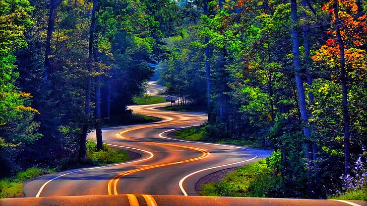 серая главная дорога, деревья, лес, трава, улица, природа, пейзаж, красочные, листья, дорога, Висконсин, HD обои