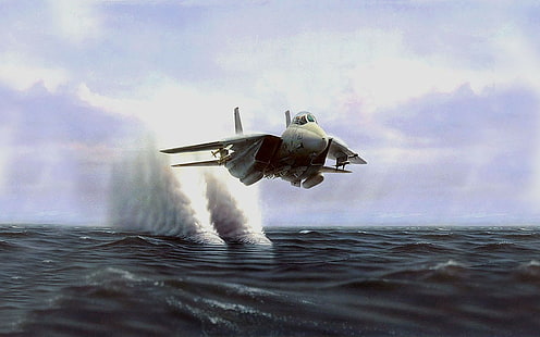 aircraft grumman f 14 tomcat, HD wallpaper HD wallpaper