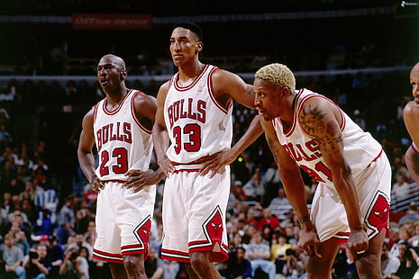 Basketball, Chicago Bulls, Dennis Rodman, Michael Jordan, HD wallpaper HD wallpaper