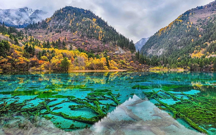Jiuzhaigou Park China Five Flower Lake Unesco Världsarv Landskap Bakgrund Wallpaper 3840 × 2400, HD tapet