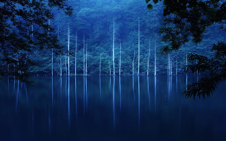 Wald, Nacht, Hang, See, Bäume, Nebel, Gewässer, Wald, Nacht, Hang, See, Bäume, Nebel, HD-Hintergrundbild