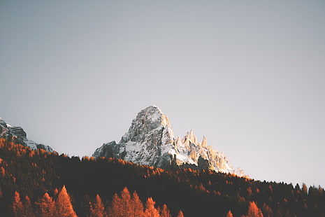 alpy górskie i sosny], ośnieżona góra w pobliżu drzew w ciągu dnia, śnieg, góry, las, krajobraz, czyste niebo, Tapety HD HD wallpaper