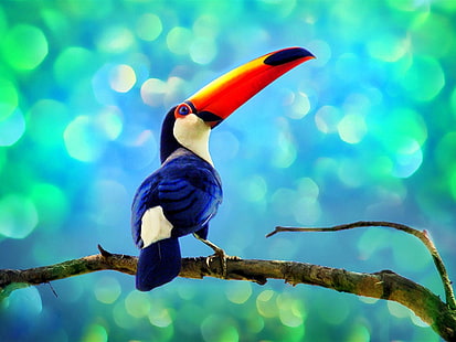 열대 우림, 블루 큰 부리 새, 큰 부리 새, 열대 우림에 큰 부리 새, HD 배경 화면 HD wallpaper