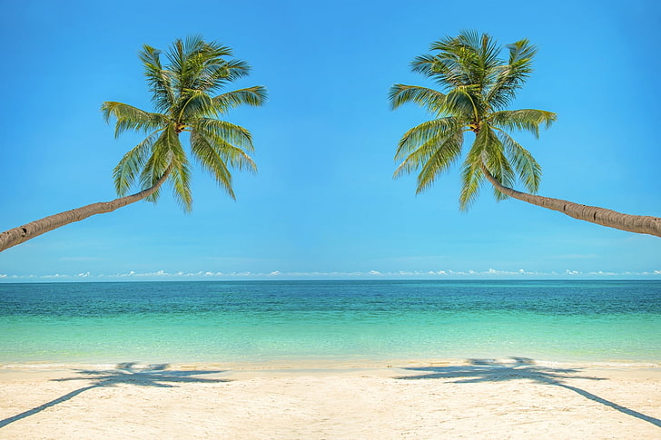 Beach Dreams, Oceans, Nature, Sea, Sand, Beaches, Paradise, Palm Trees, HD wallpaper