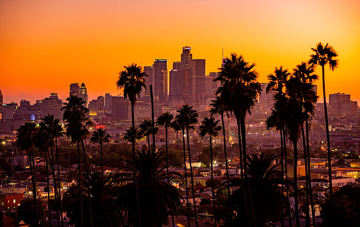 city, palm trees, sunset, building, skyscraper, Los Angeles, landscape, HD wallpaper