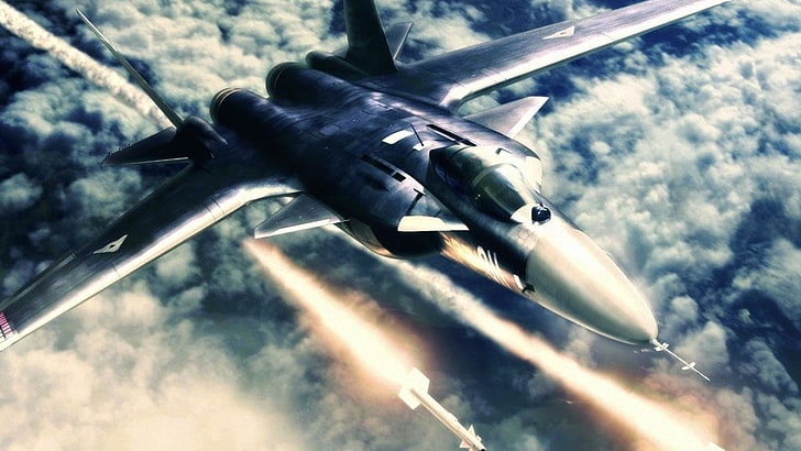 avions de combat noir et blanc, Ace Combat, Berkut, Su-47, Fond d'écran HD