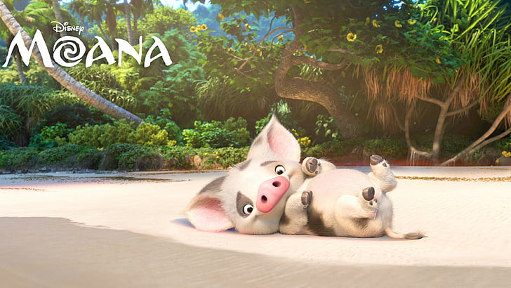 Disney Moana movie, Moana, pugo, piggy, best animation movies of 2016, HD wallpaper