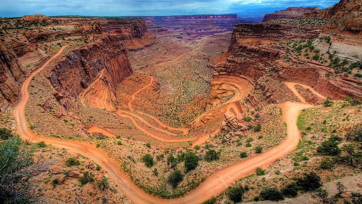 Tapis floral marron et vert, canyon, nature, Canyonlands National Park, Utah, chemin de terre, paysage, USA, Fond d'écran HD