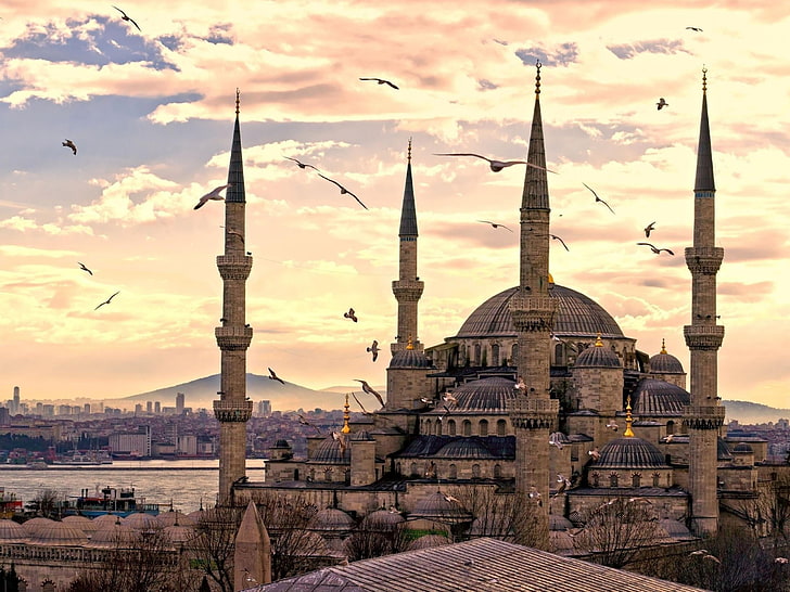 Marrón y negro Torre Eiffel en miniatura, mezquita, Estambul, Turquía, la Mezquita del Sultán Ahmed, el Islam, la arquitectura, el paisaje urbano, el cielo, las aves, Fondo de pantalla HD