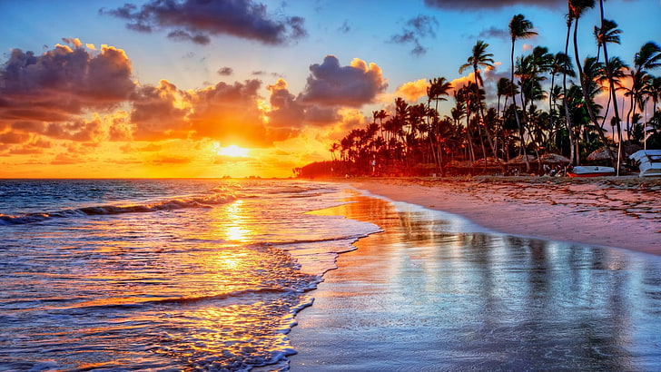 palmier, palmiers, ciel, rivage, océan, eau, plage, horizon, lever du soleil, côte, tropiques, nuage, vague, Fond d'écran HD