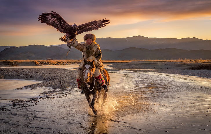 Elang, Mongolia, Kuda, pemburu elang, Ulgii, Wallpaper HD