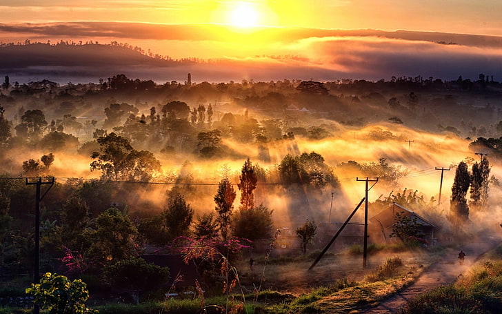 Natur, Landschaft, Nebel, Dörfer, Bäume, Sonnenstrahlen, Straße, Hügel, Morgen, HD-Hintergrundbild